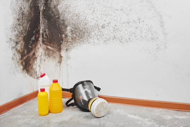 Best Professional Mold Removal  in Salem, OR