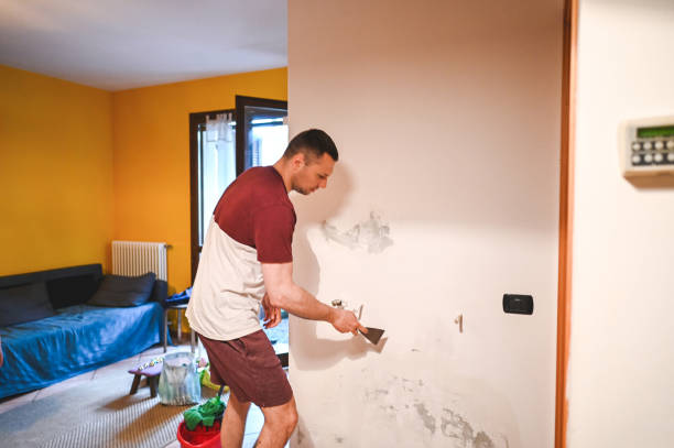 Best Mold Damage Repair  in Salem, OR