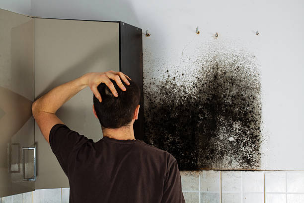 Best Mold Testing  in Salem, OR