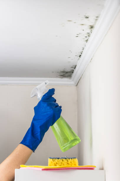 Best Emergency Mold Removal  in Salem, OR